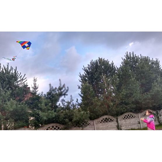 Flying dragon - rainbow