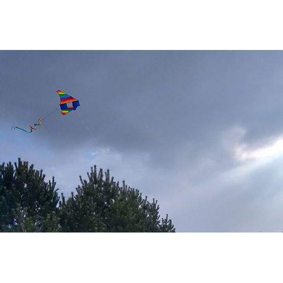 Flying dragon - rainbow