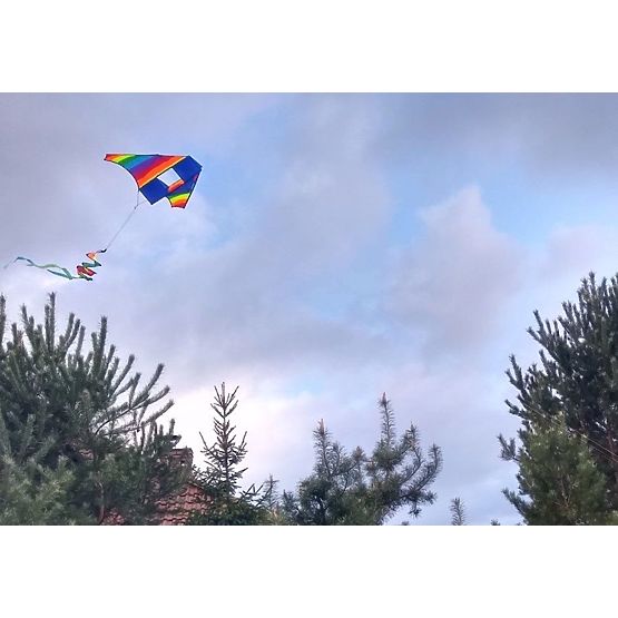 Flying dragon - rainbow
