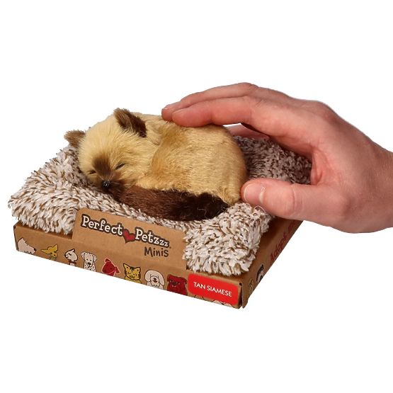 Perfect Petzzz Small Siamese Kitten