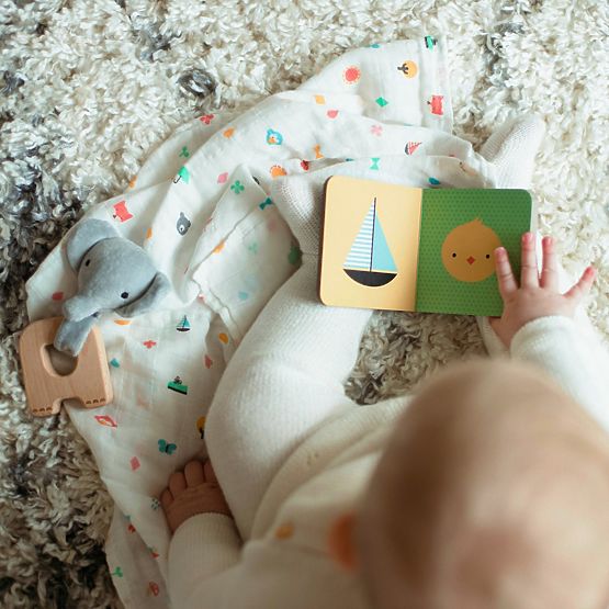 Petit Collage Baby elephant gift set