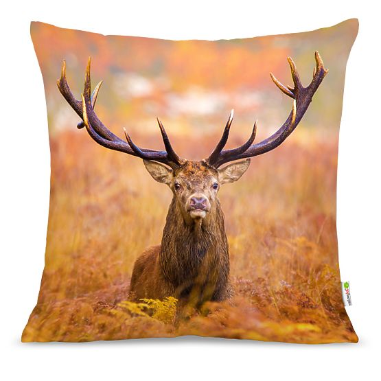 Pillow HART 01