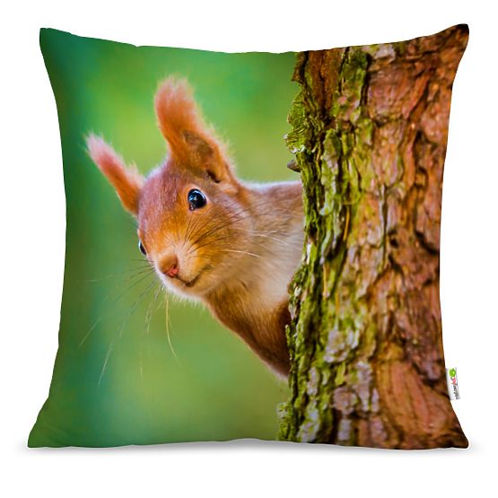 Pillow SQUIRREL 01