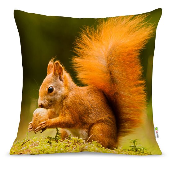 Pillow SQUIRREL 02