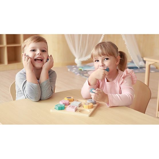PolarB Shape Puzzle