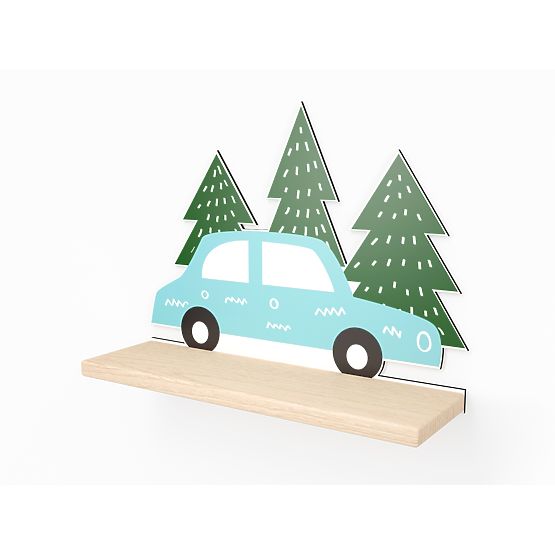 Car shelf