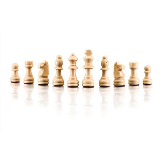 POPULAR Magnetic Travel Chess