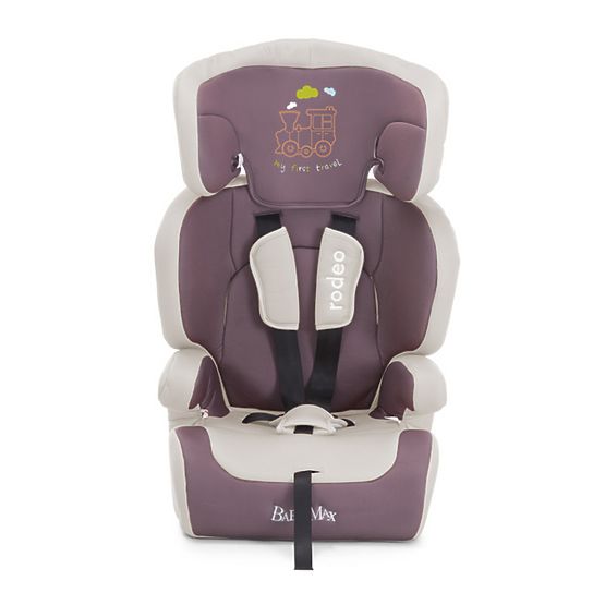 Rodeo Children's Car Seat