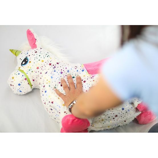Rubber Bouncing Unicorn with Cover