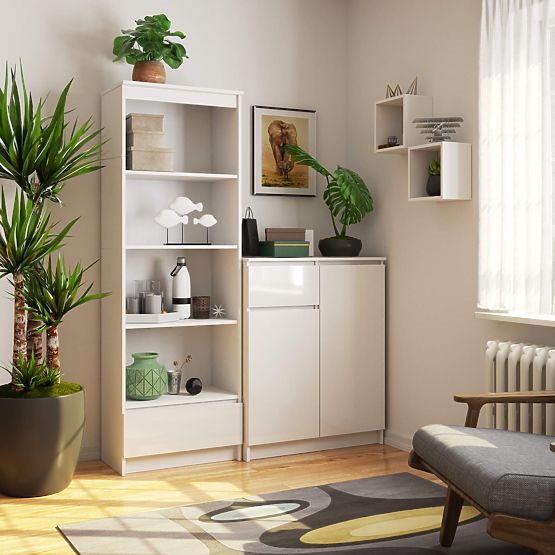 SHELF R60 1DR 4S CLP PK WHITE / WHITE GLOSS