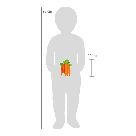 small foot Felt Food Carrot