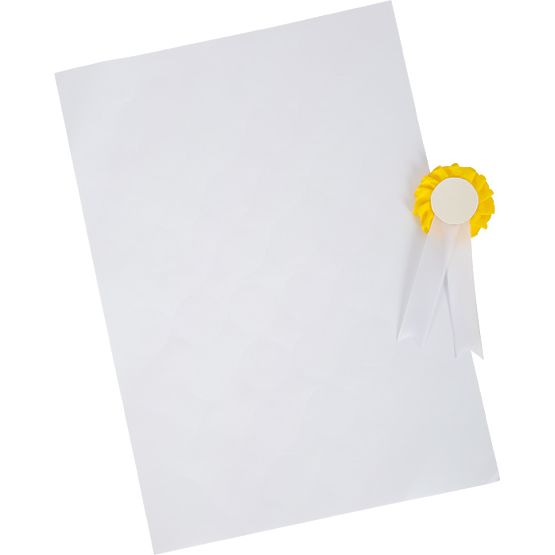 small foot Horse Care Set with Bag