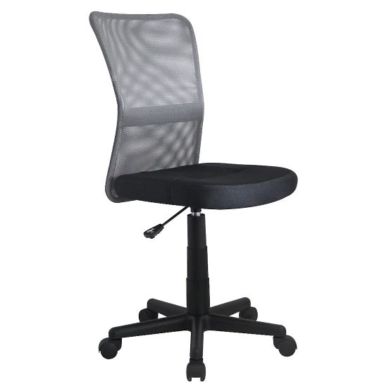 Student chair Dingo