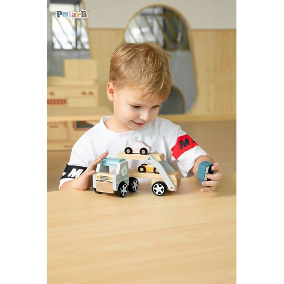 Transporter with 3 Cars Polar B