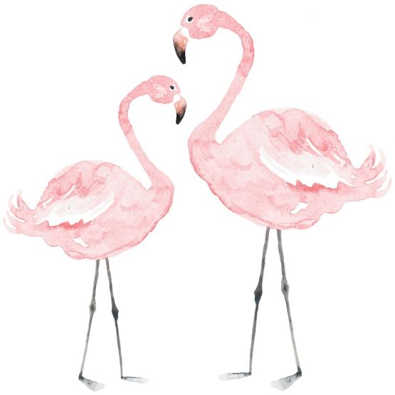 Wall decoration DEKORNIK - flamingos