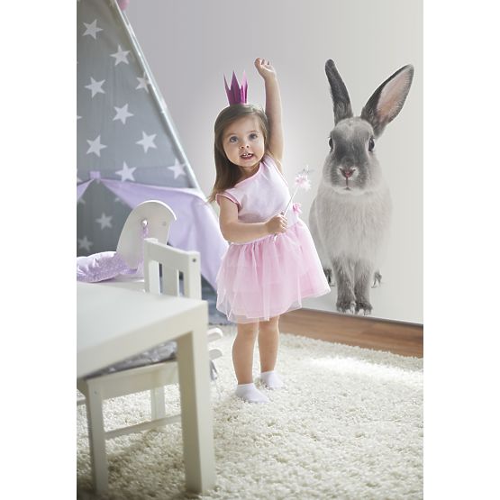 Wall decoration DEKORNIK - Rabbit Harry