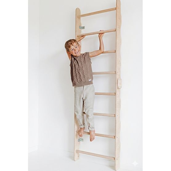Wall-Mounted Gymnastic Ladder