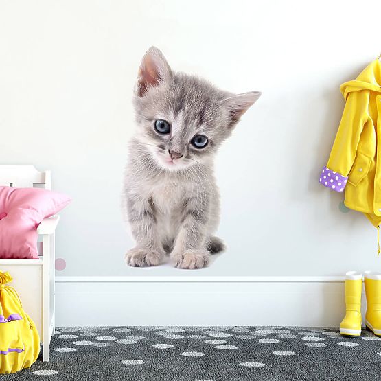 Wall sticker - Kitten