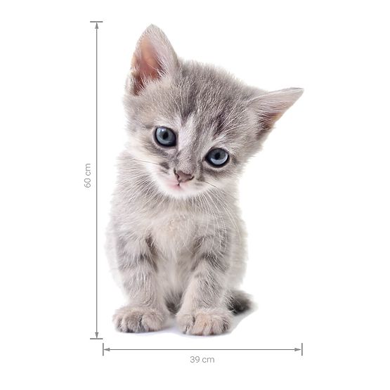 Wall sticker - Kitten