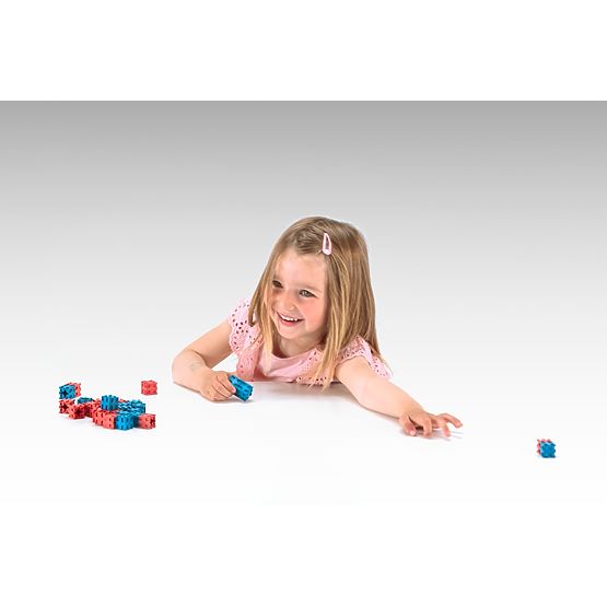 Wissner Red and Blue Blocks 100 pcs