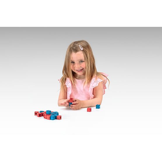 Wissner Red and Blue Blocks 100 pcs