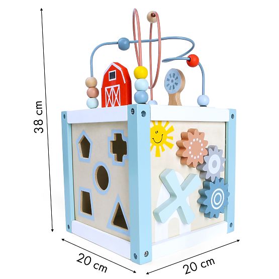 Wooden Educational Cube Sorter + Blocks ECOTOYS