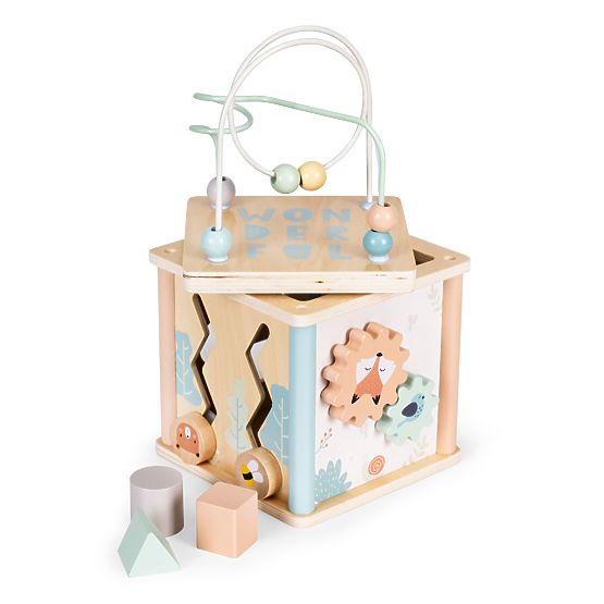 Wooden Educational Cube with Shapes ECOTOYS