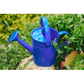 Watering can blue