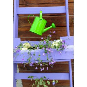 Watering can green