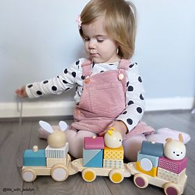 Bigjigs Baby Wooden Train with Animals - Damaged Packaging
