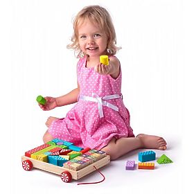 Cart with Blocks 35 pcs