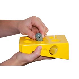 Cheese Maze for Mouse