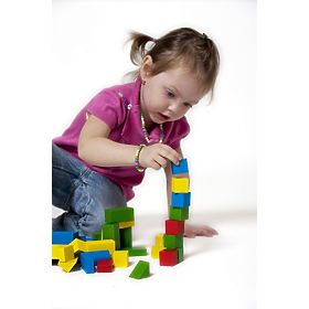 Detoa Wooden Building Blocks 100 pcs, Detoa