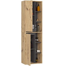 HANGING BATHROOM CABINET VAMI W50 2D 6P ARTISAN OAK / GRAPHITE GRAY