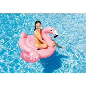 Inflatable flamingo in the water