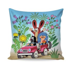 Mole pillow in the car, Matějovský, Little Mole