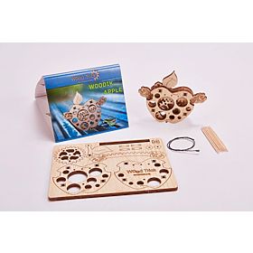 Mechanical Puzzle Apple with Worm