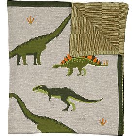 Nature Planet Organic Cotton Blanket Dinosaurs