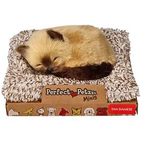Perfect Petzzz Small Siamese Kitten