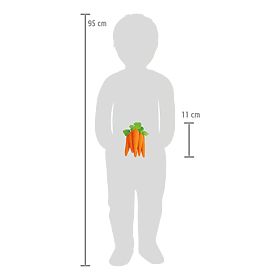 small foot Felt Food Carrot