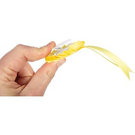 small foot Horse Care Set with Red Bag, small foot