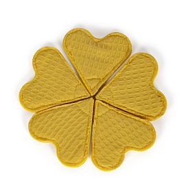 small foot Waffle Maker Set with Accessories Tasty, small foot