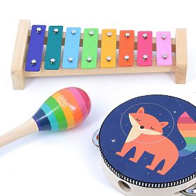 Vilac Rainbow Musical Instruments
