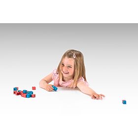 Wissner Red and Blue Blocks 100 pcs